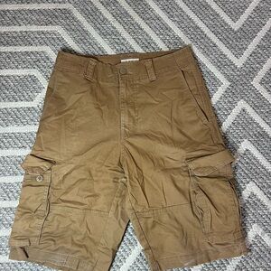 Goodfellow & Co Men's Brown Cargo Shorts